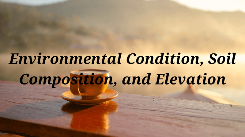 Exploring Factors Influencing Coffee Flavor Part 2: Environmental Condition, Soil Composition, and Elevation