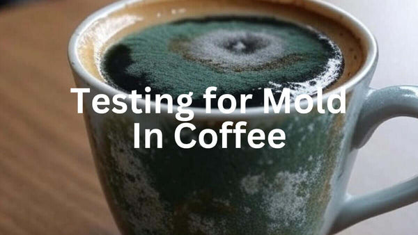 Mold Testing Coffee: Why We Don't