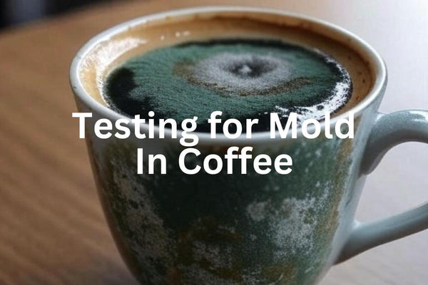 Why We Don’t Test Our Coffee for Mold