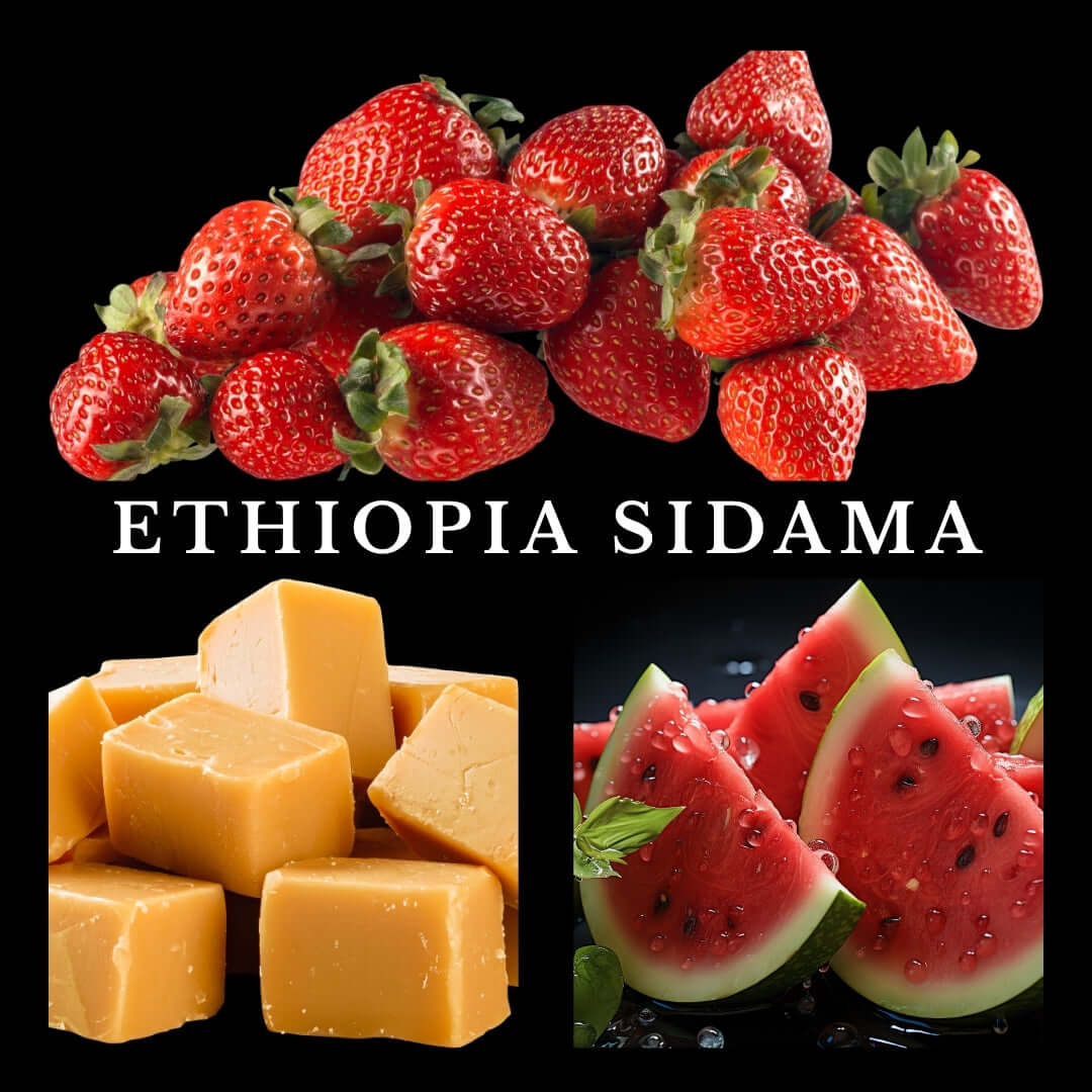 Ethiopia Sidama