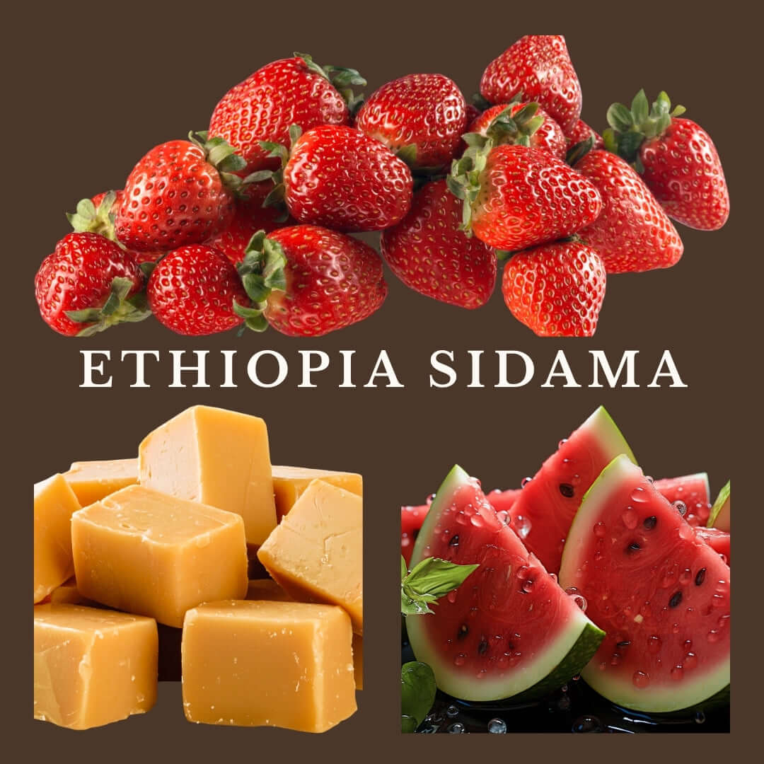 Ethiopian Specialty Coffee beans from Sidama region